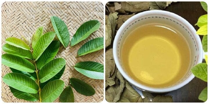 This Leaf for Bl00d Sugar Control: Nature’s Gift for Diabetics