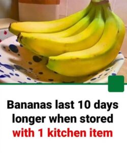 Bananas last 10 days longer when stored with one kitchen item instead of in a fruit bowl….see more