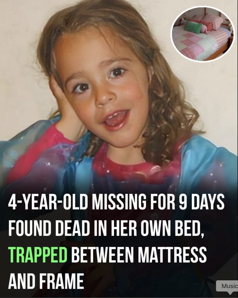 The suspicious case of Paulette Gebara Farah is one of the most baffling mysteries of our time