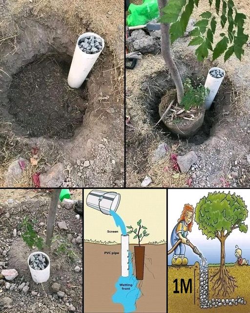 How To Build Your Own Self Watering Containers