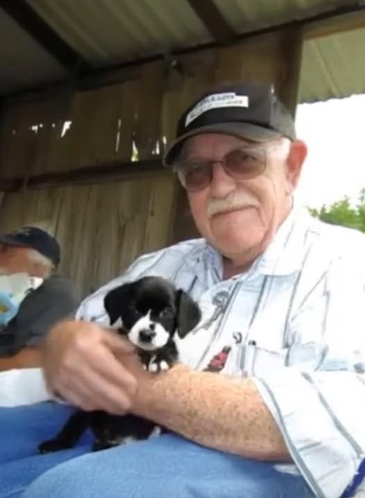 Abandoned Puppy Becomes the Answer to a Grieving Old Man’s Prayers