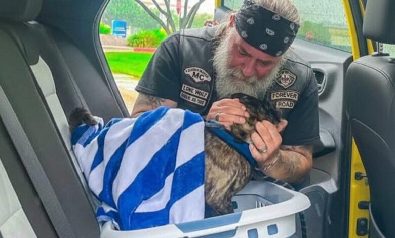 Biker Was Crying Over A Thing In That Blue Towel And I Had To Pull Over To See What Broke This Tough Man