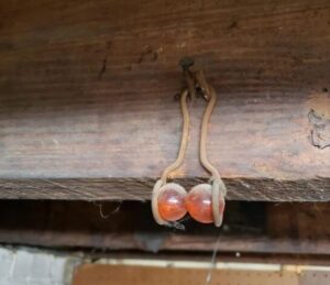 Unlock The Mystical Power Of An Antique Relic!