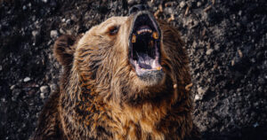 Bear attack survivor’s chilling final note to family