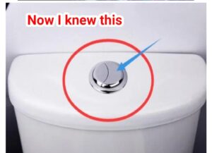 Many people still think that these 2 buttons is just for flushing