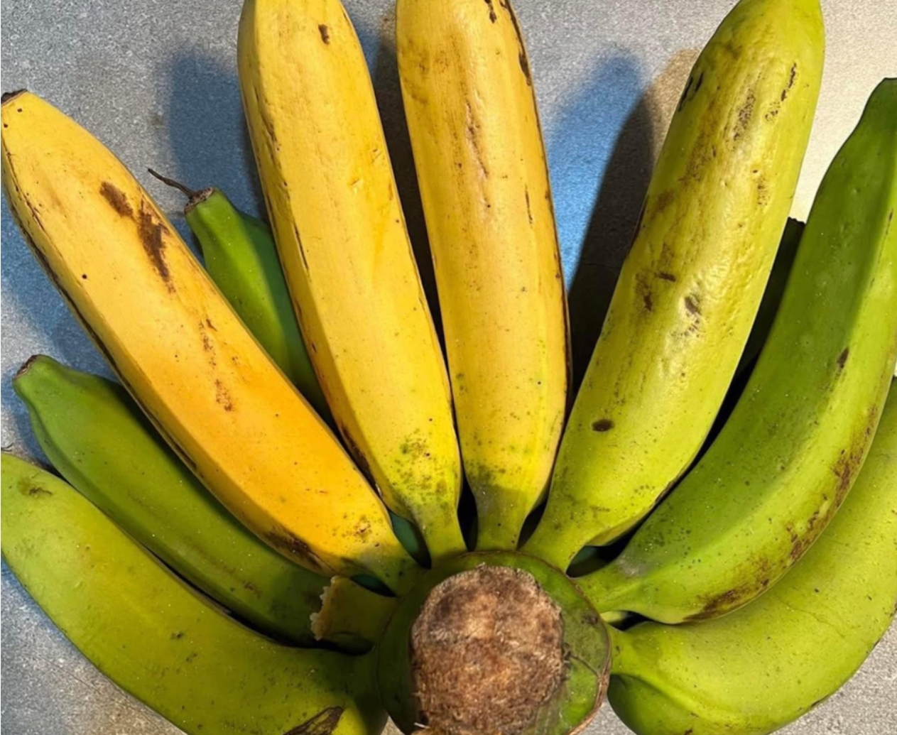 Doctors reveal that eating a slightly unripe banana causes ….