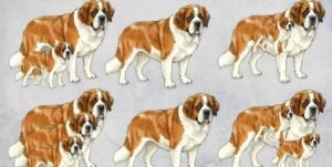 Can You Spot All the Dogs? Test Your Observation Skills!