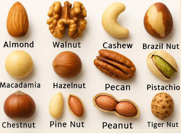 Pick A Nut To Reveal If You’re Lazy Or A Workaholic.