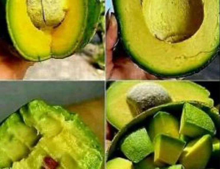 Doctors reveal that eating avocado can cause ….