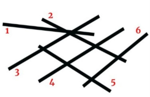 Pick The Shortest Line: Your Answer Reveals What Kind Of Person You Are