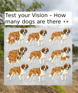 Can You Spot All the Dogs? Test Your Observation Skills!