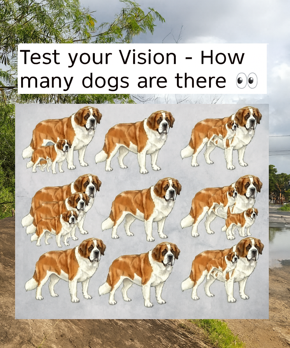 Can You Spot All the Dogs? Test Your Observation Skills!