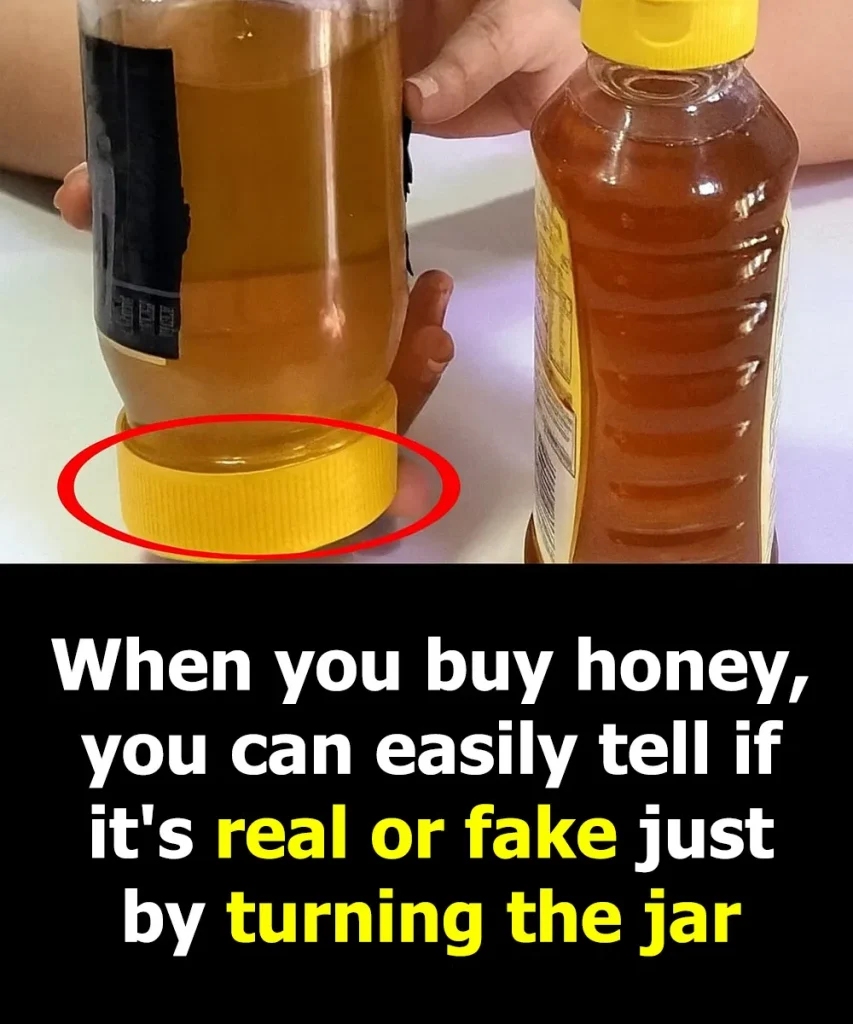 5 Easy Ways to Test Honey at Home — No.3 Even Surprised Beekeepers!
