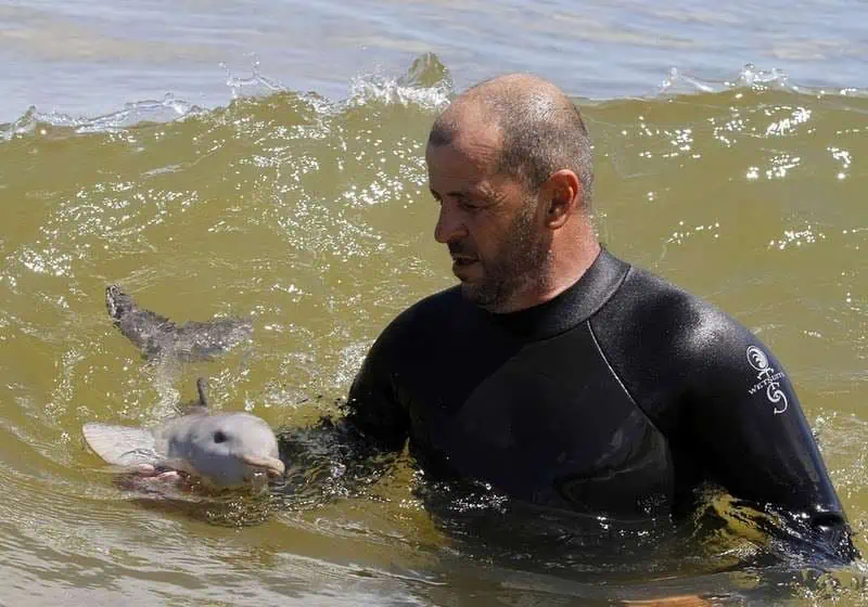 The Dolphin’s Guardian: A Tale of Compassion Beneath the Waves.