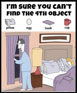 Can you spot the book, egg, cup, and pillow?