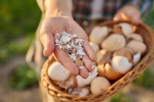 13 reasons you shouldn’t be throwing your eggshells away