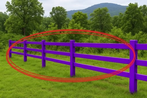 If You Spot a Painted Purple Fence, This Is What It Means