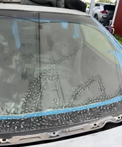 I discovered some strange marks on my car… and I was surprised to learn what caused them.