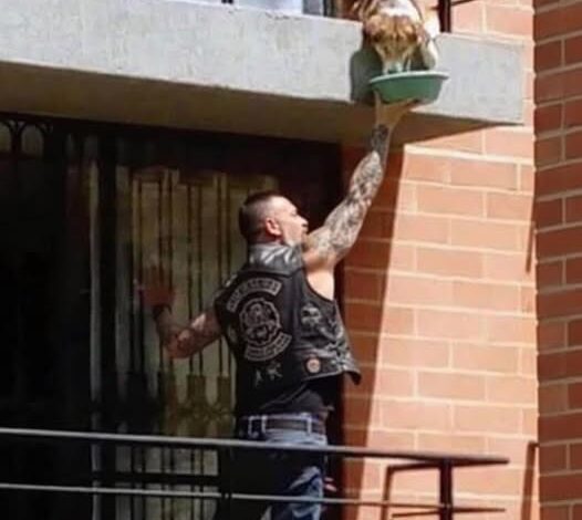 I Called The Cops On The Biker Climbing My Neighbors Balcony Until I Saw What He Was Feeding