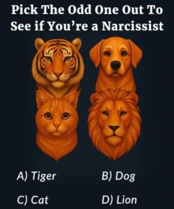 Pick The Odd One Out To See if You’re a Narcissist