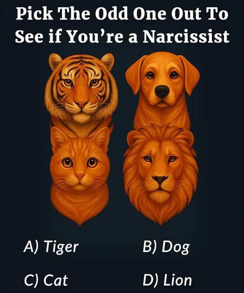 Pick The Odd One Out To See if You’re a Narcissist