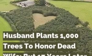 Farmer Plants 1000 Oak Trees!