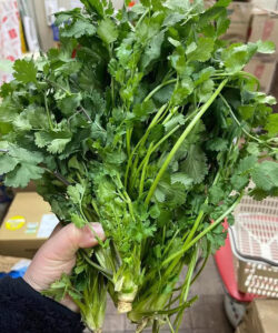 Doctors reveal that eating coriander causes …