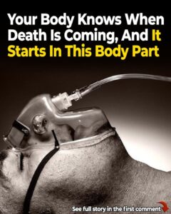 The Body Knows When Death is Near and It Begins in Your Nose