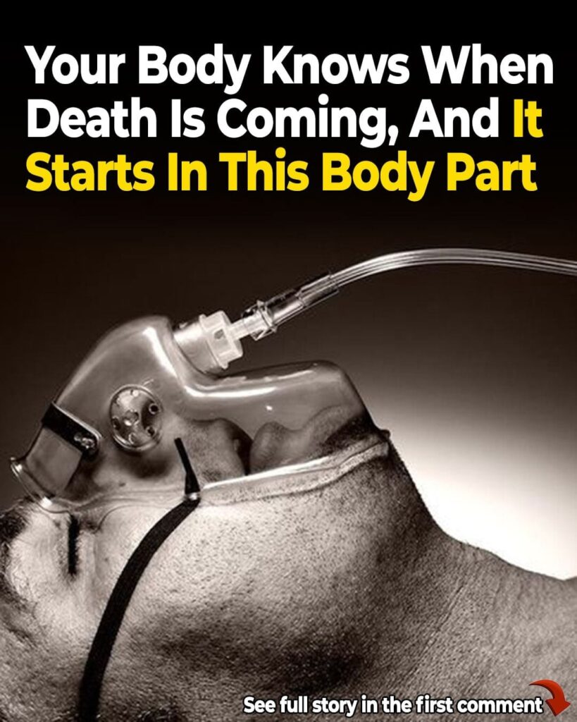 The Body Knows When Death is Near, and It Begins in Your Nose