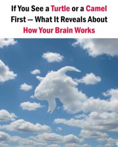 🧠 If You See a Turtle or a Camel First — What It Reveals About How Your Brain Works