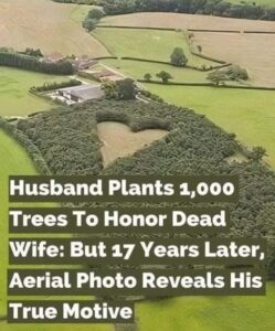 Farmer Plants 1000 Oak Trees