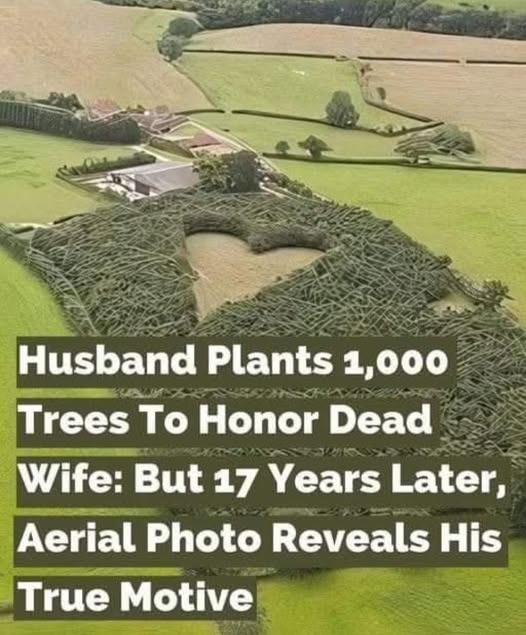 Farmer Plants 1000 Oak Trees