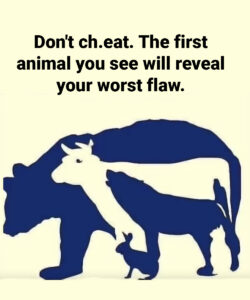 This Test Will Reveal Your “Worst Flaw” Based on the First Animal You See