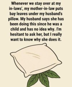 How the Scent of Bay Leaves May Calm Your Mind Before Bed