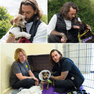 PETE WICKS JUST BROKE THE INTERNET: “Paul O’Grady was one of a kind… I could NEVER fill his shoes.”