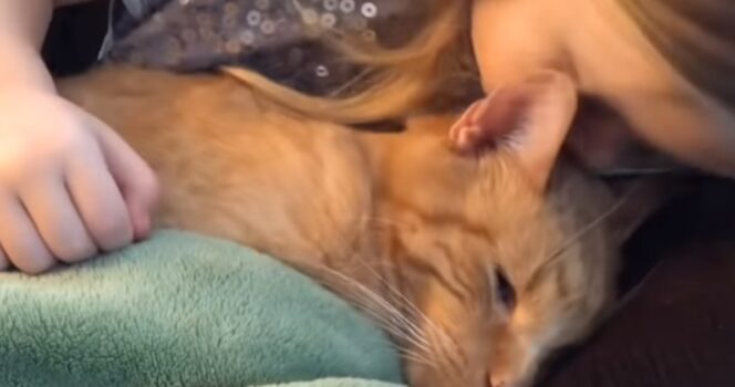 Little girl emotionally sings ‘You Are My Sunshine’ to dying cat