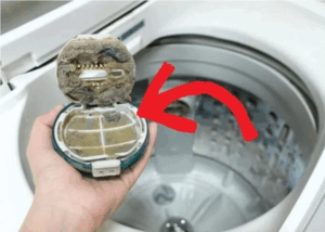 “Open It Once a Month: The Simple Habit That Could Save Your Washing Machine — and Your Clothes