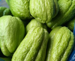 Doctors reveal that eating chayote causes …