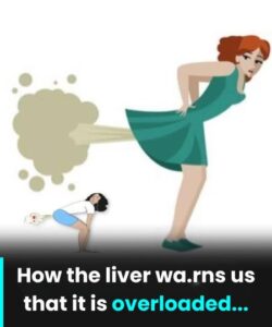 One Cup a Day: The Natural Drink That Helps Your Liver Recover While You Sleep.