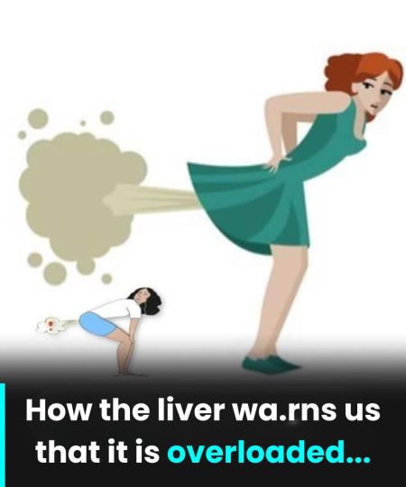 One Cup a Day: The Natural Drink That Helps Your Liver Recover While You Sleep.