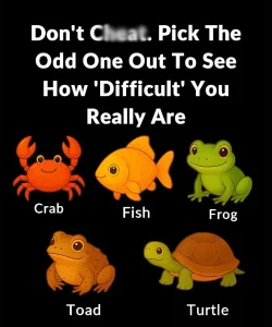 Don’t Che.at. Pick The Odd One Out To See How ‘Difficult’ You Really Are