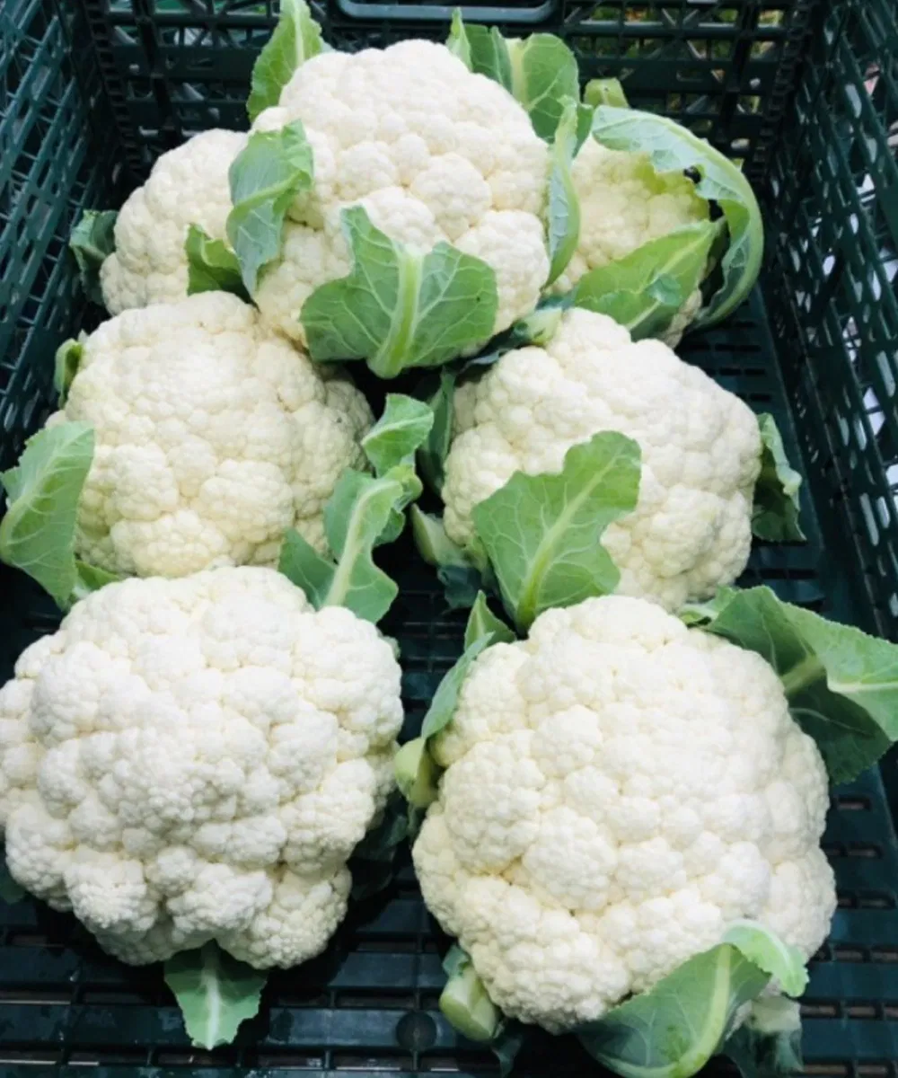Doctors Reveals That Eating Cauliflower Causes …