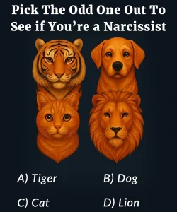 Pick The Odd One Out To See if You’re a Narcissist