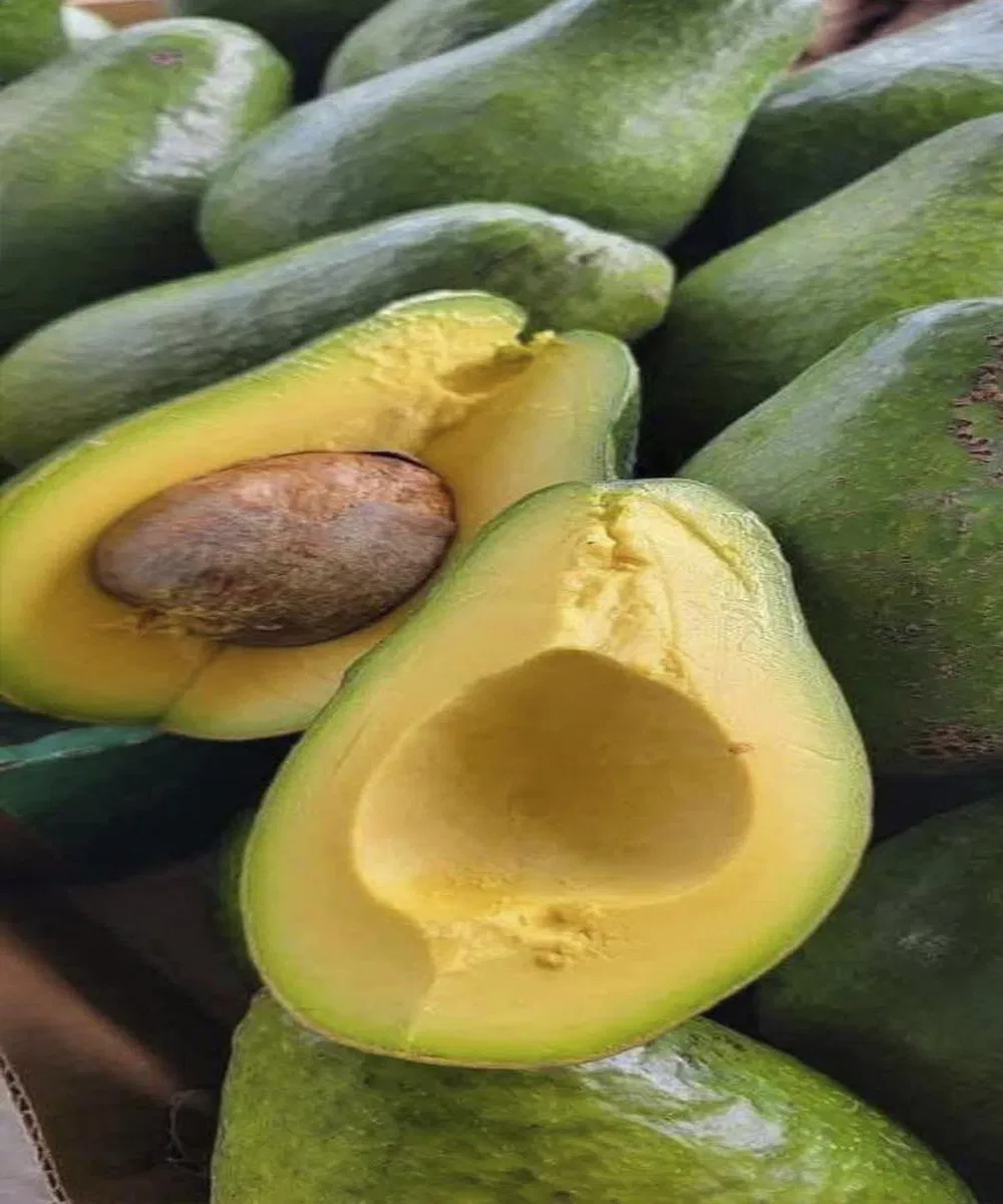 Doctors Reveal That Eating Avocados