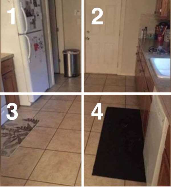 Can you find the large dog hiding in this kitchen?