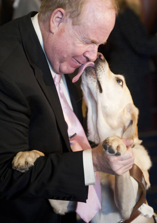 Inside The Harrowing Escape Of 9/11 Survivor Michael Hingson And His Beloved Guide Dog