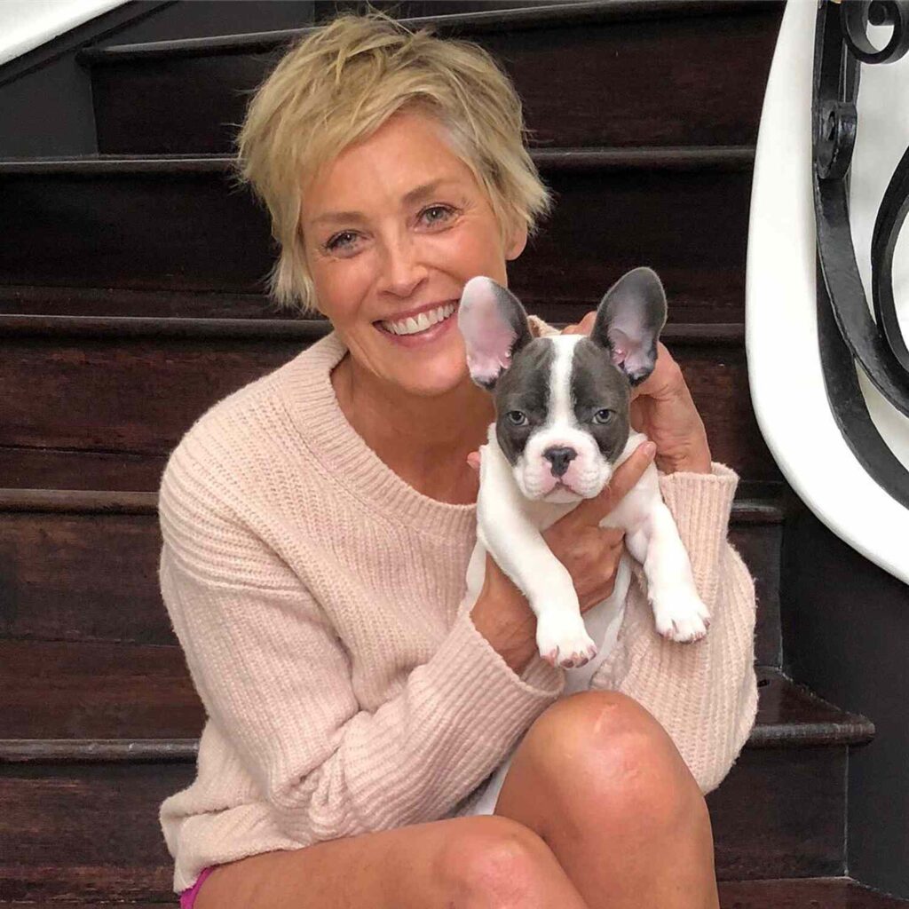 Sharon Stone Shines in a Bikini at 66 — A Celebration of Confidence, Authentic Beauty, and Ageless Strength