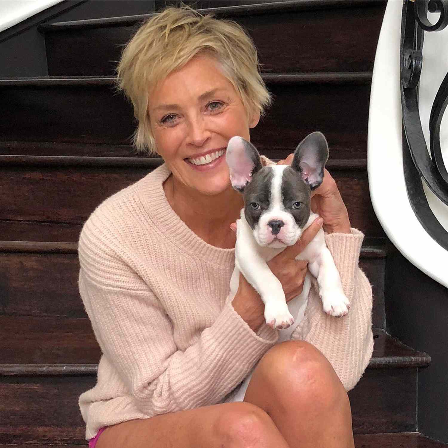 Sharon Stone Shines in a Bikini at 66 — A Celebration of Confidence, Authentic Beauty, and Ageless Strength