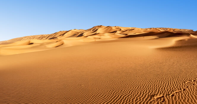 Dismembered body of crypto millionaire and wife found in Dubai