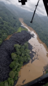 OMG Unbelievable footage from the Amazon… - DailyScan.net